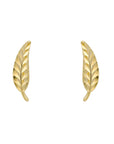 9ct Yellow Gold Feather Stud Earrings