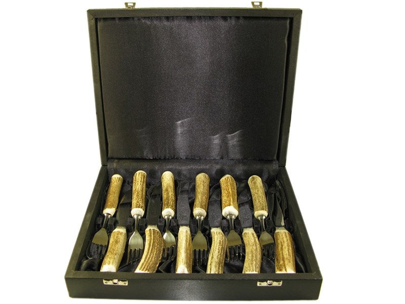 Collection Image
