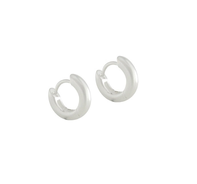 Sterling Silver Small Polished Hinged Hoop Earrings