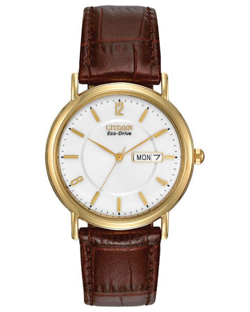Mens Gold Tone Citizen Eco Drive Day & Date Watch on Leather Strap