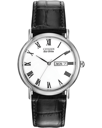 Mens Steel Citizen Eco Drive Day & Date Watch on Leather Strap